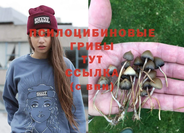 не бодяженный Володарск