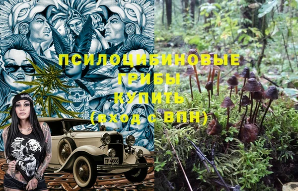 МДПВ Вязьма